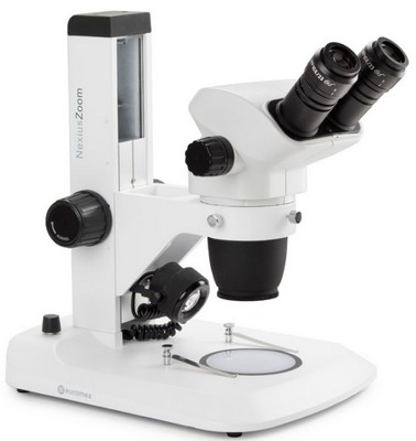 Euromex binokulares Zoom-Stereomikroskop NexiusZoom EVO 6.5-55x mit Zahnstangenstativ.