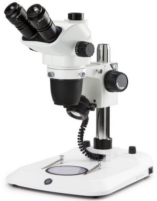 Euromex trinokulares Zoom-Stereomikroskop NexiusZoom EVO 6.5-55x mit Säulenstativ.