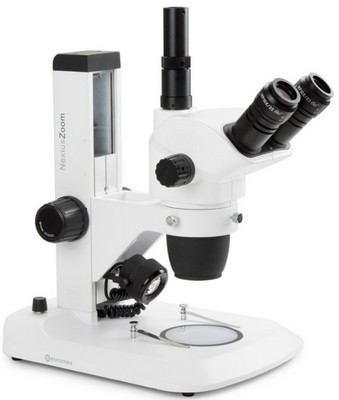 Euromex trinokulares Zoom-Stereomikroskop NexiusZoom EVO 6.5-55x mit Zahnstangenstativ.