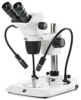 Euromex Zoom-Stereomikroskop NexiusZoom 6,7-45x mit zwei flexiblen Schwanenhals LED-Lichtleitern und einem Säulenstativ.