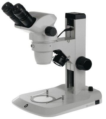 Euromex Zoom-Stereomikroskop NexiusZoom 6,7-45x mit Zahnstangenstativ und LED Auf- und Durchlichtbeleuchtung.