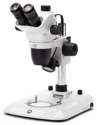 Euromex trinokulares Zoom-Stereomikroskop NexiusZoom 6,7-45x mit Säulenstativ und LED Auf- und Durchlichtbeleuchtung.