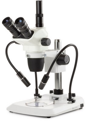 Euromex trinokulares Zoom-Stereomikroskop NexiusZoom 6,7-45x mit Säulenstativ mit 2 flexiblen Schwanenhals Lichtleitern.