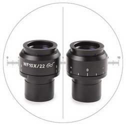 Euromex HWF 10x/22mm Okular mit Fadenkreuz und 10/100 Mikrometerskala für NexiusZoom EVO (1 Stück).