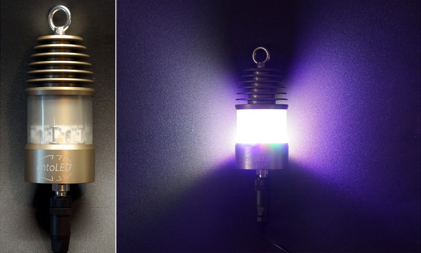 entoLED2 12V Breitband-UV-LED-Leuchte 11 W 18 LEDs (broad UV-range LED night collecting lamp) für den Lichtfang (for all night flying insects) (OHNE integriertem Lichtsensor) mit MATTIERTEM GLAS (matt glass)