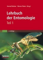 100 STÜCKE Edelstahl Insektennadeln Probe für Schule Entomologie Dissektion 