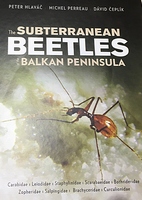 Hlavac, Perreau & Ceplik 2017: The subterranean beetles of the Balkan peninsula. Monograph.