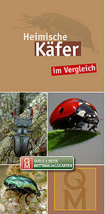 Quelle & Meyer Verlag 2018: Heimische Käfer im Vergleich. Bestimmungskarte.