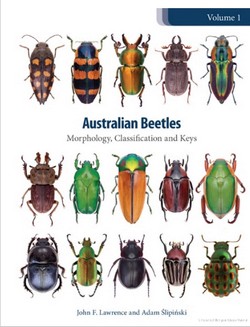 Lawrence & Slipinski 2013: Australian Beetles: Volume 1 Morphology, Classification and Keys.