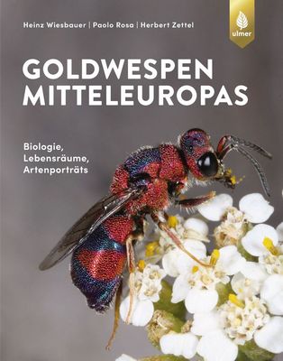 Wiesbauer, Rosa & Zettel 2020: Goldwespen Mitteleuropas. Biologie, Lebensrume, Artensteckbriefe