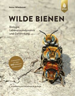 Wiesbauer H 2023: Wilde Bienen. Biologie, Lebensraumdynamik und Gefhrdung. Artenportrts von ber 510 Wildbienen Mitteleuropas (3. Auflage)