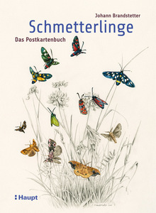 Brandstetter J 2019: Schmetterlinge - Das Postkartenbuch