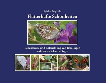 Przybilla S 2019: Flatterhafte Schönheiten. Lebensweise und Entwicklung von Bläulingen und anderen Schmetterlingen.