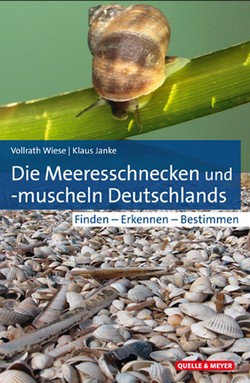 Wiese & Janke 2020: Die Meeresschnecken und Muscheln Deutschlands: Finden - Erkennen - Bestimmen