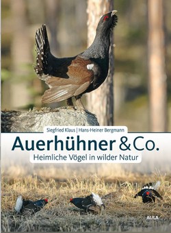 Klaus & Bergmann 2020: Auerhühner & Co: Heimliche Vögel in wilder Natur