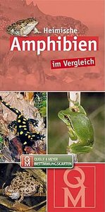 Quelle & Meyer Verlag 2016: Heimische Amphibien im Vergleich. Bestimmungskarte.