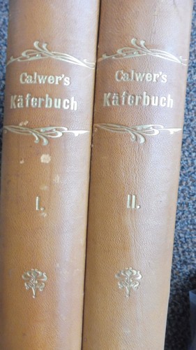 Calwer / Schaufuss 1916: Calwers K�ferbuch Einf�hrung in die Kenntnis der K�fer Europas Band 1 + 2  von Camillo Schaufuss